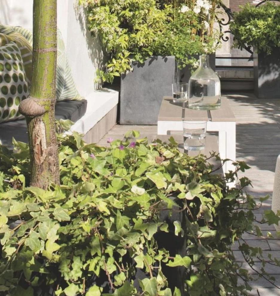 Belle Avec Acces A Terrasse Homestay